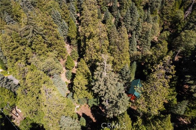 629 Lodge Lane, Twin Peaks, CA 92391