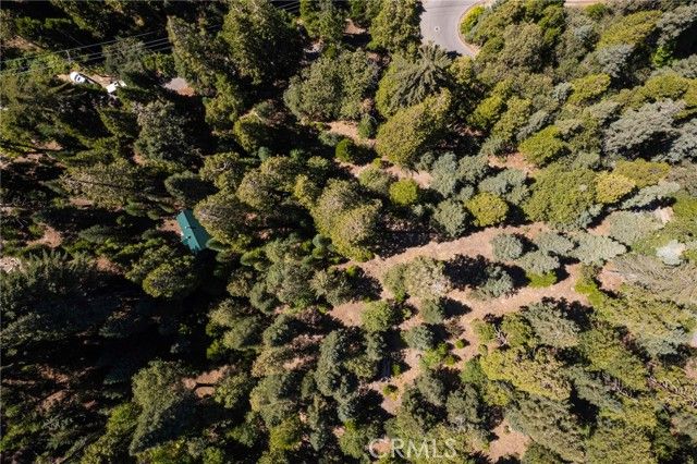 629 Lodge Lane, Twin Peaks, CA 92391