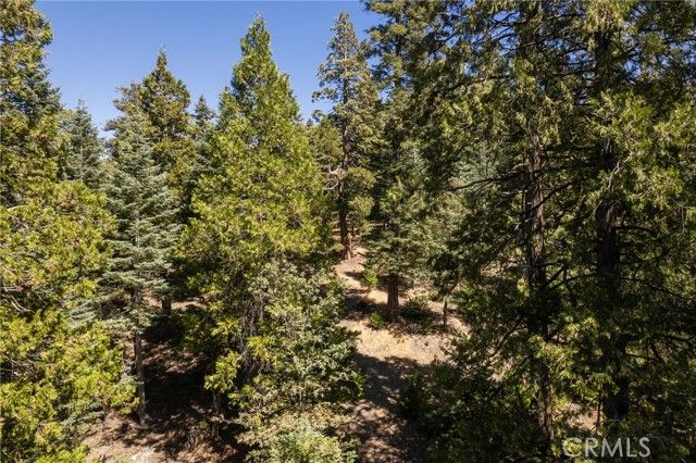 629 Lodge Lane, Twin Peaks, CA 92391