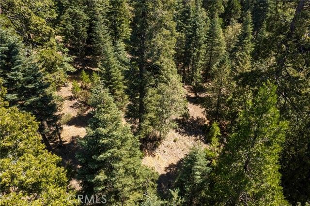 629 Lodge Lane, Twin Peaks, CA 92391