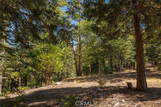 629 Lodge Lane, Twin Peaks, CA 92391