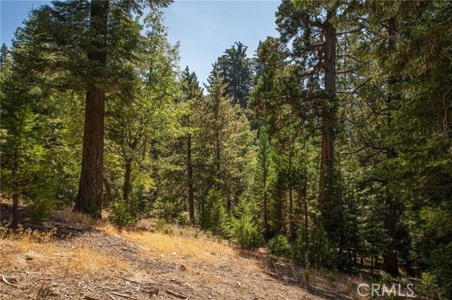 629 Lodge Lane, Twin Peaks, CA 92391