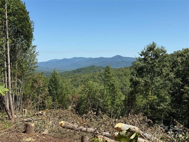 1187 Grandview Peaks Drive 187, Nebo, NC 28761