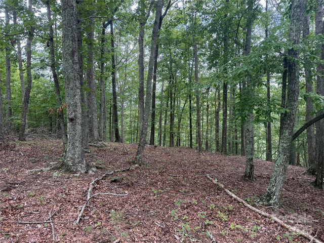 1187 Grandview Peaks Drive 187, Nebo, NC 28761