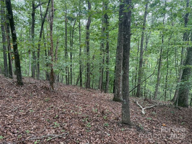 1187 Grandview Peaks Drive 187, Nebo, NC 28761