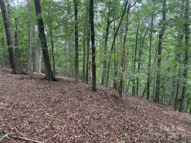 1187 Grandview Peaks Drive 187, Nebo, NC 28761