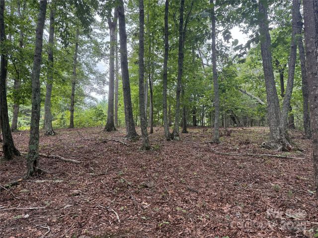 1187 Grandview Peaks Drive 187, Nebo, NC 28761