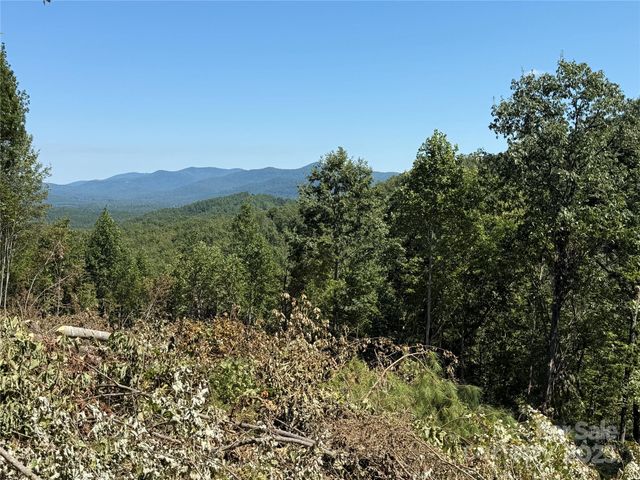 1187 Grandview Peaks Drive 187, Nebo, NC 28761