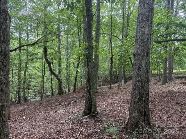 1187 Grandview Peaks Drive 187, Nebo, NC 28761
