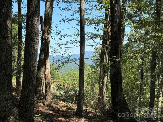 1187 Grandview Peaks Drive 187, Nebo, NC 28761