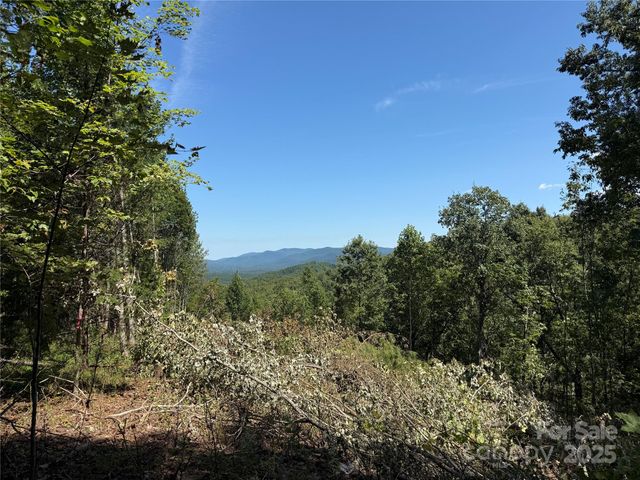 1187 Grandview Peaks Drive 187, Nebo, NC 28761