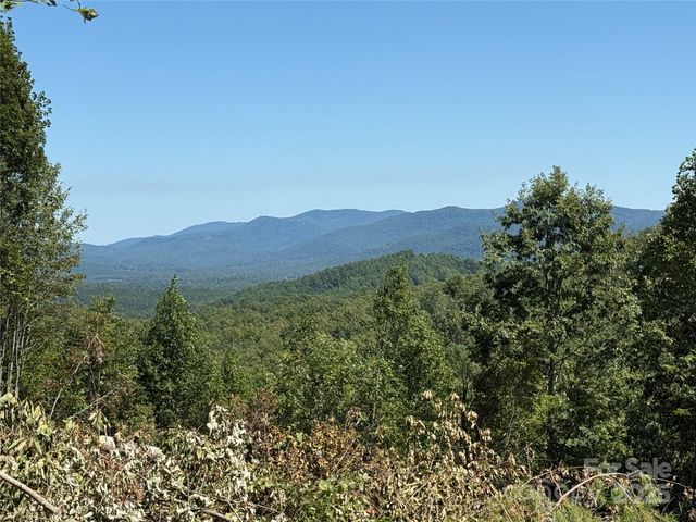1187 Grandview Peaks Drive 187, Nebo, NC 28761