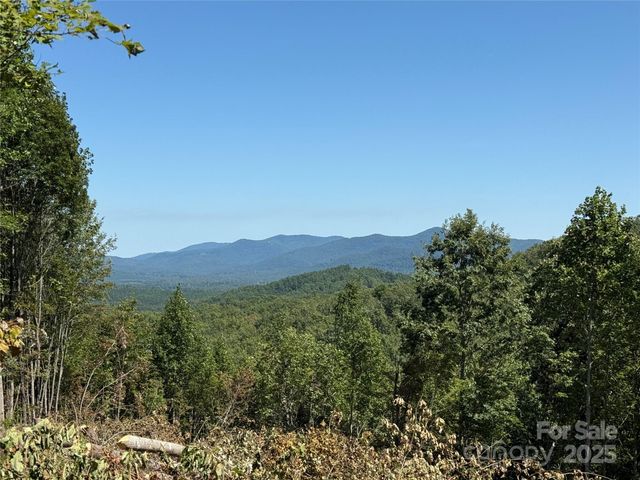 1187 Grandview Peaks Drive 187, Nebo, NC 28761