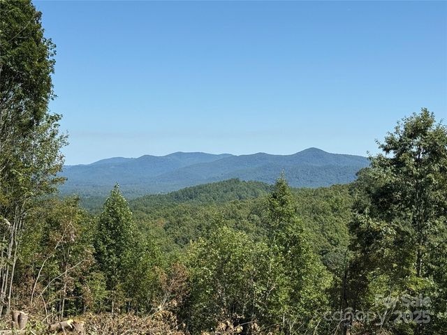 1187 Grandview Peaks Drive 187, Nebo, NC 28761