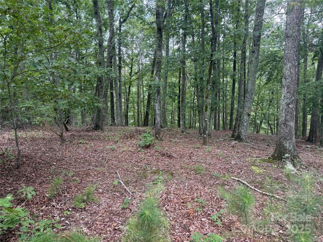 1187 Grandview Peaks Drive 187, Nebo, NC 28761