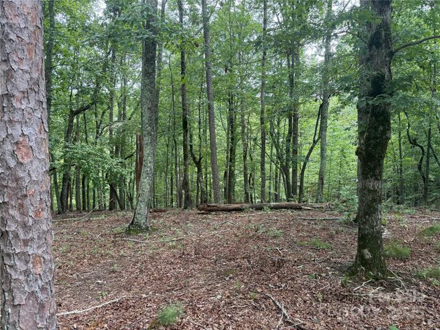 1187 Grandview Peaks Drive 187, Nebo, NC 28761