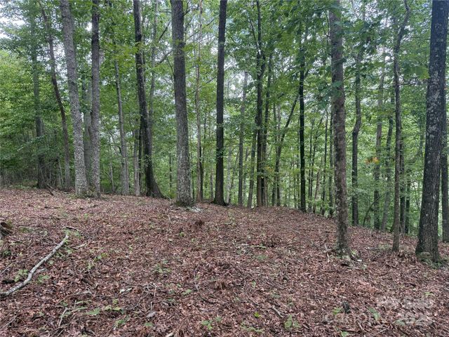 1187 Grandview Peaks Drive 187, Nebo, NC 28761