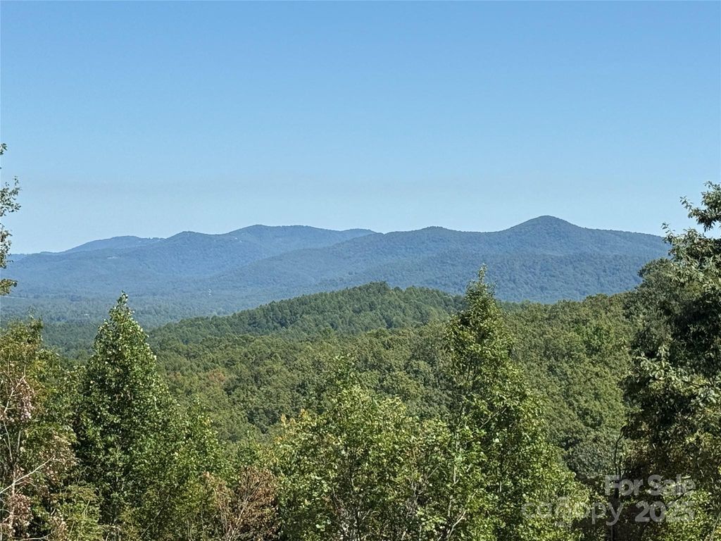 1187 Grandview Peaks Drive 187, Nebo, NC 28761