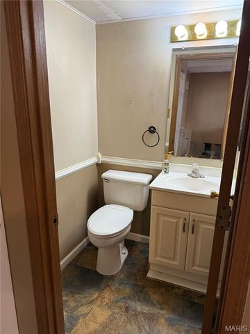 9734 Raintree Village Drive 4B, Hillsboro, MO 63050