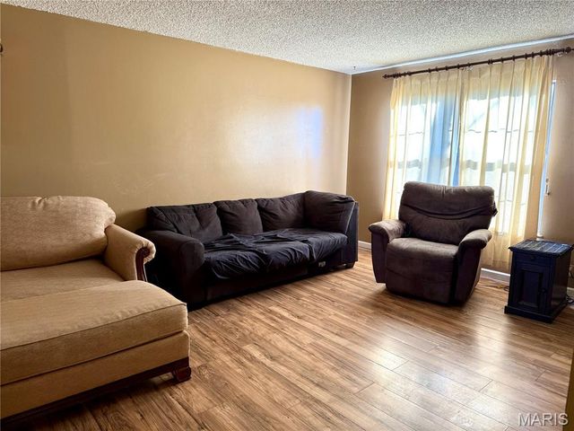 9734 Raintree Village Drive 4B, Hillsboro, MO 63050