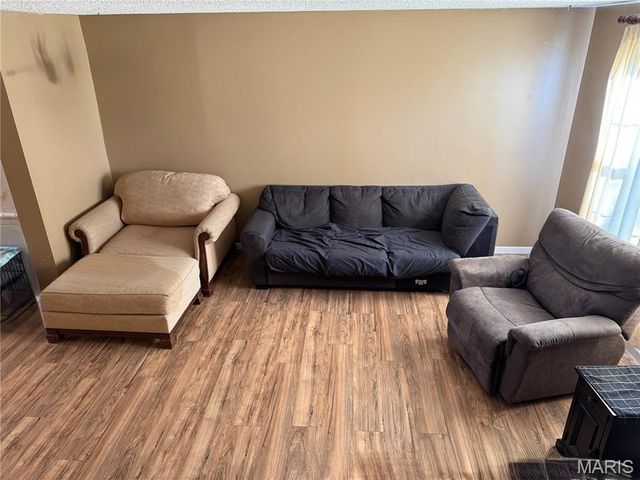 9734 Raintree Village Drive 4B, Hillsboro, MO 63050