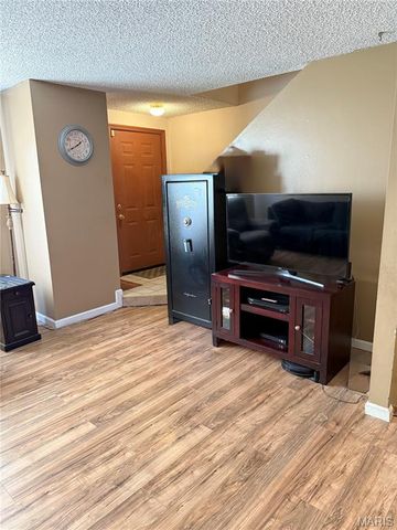 9734 Raintree Village Drive 4B, Hillsboro, MO 63050