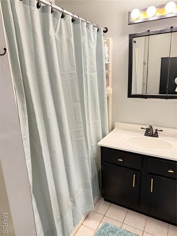 9734 Raintree Village Drive 4B, Hillsboro, MO 63050