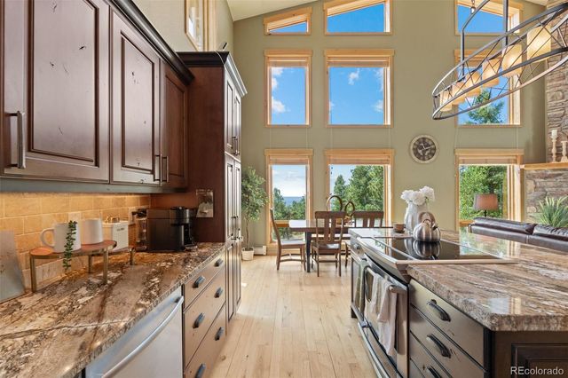 13432 Riley Peak Road, Conifer, CO 80433