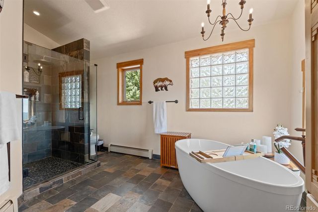 13432 Riley Peak Road, Conifer, CO 80433