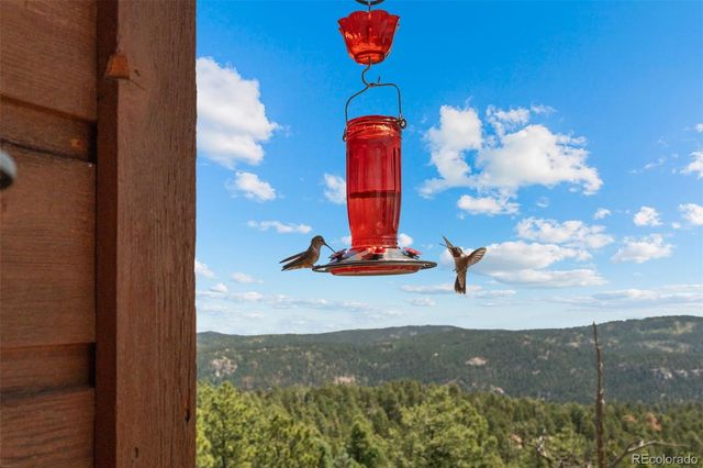 13432 Riley Peak Road, Conifer, CO 80433