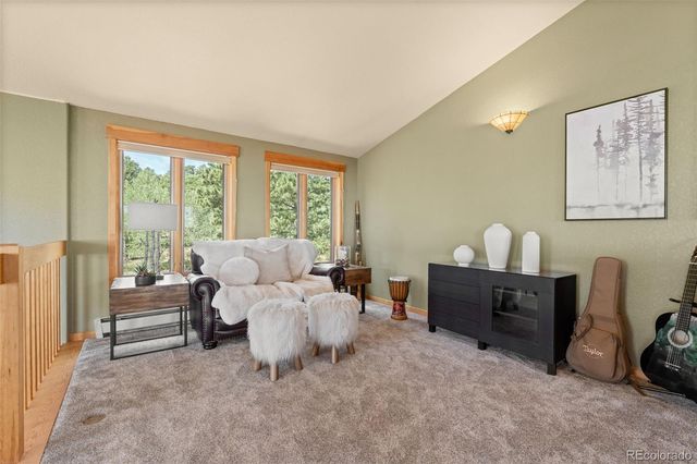 13432 Riley Peak Road, Conifer, CO 80433