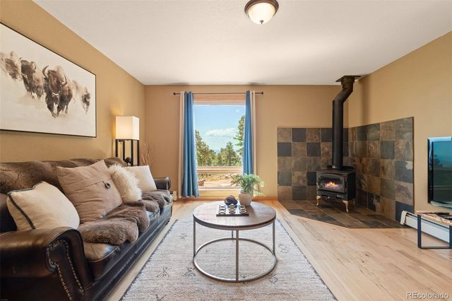 13432 Riley Peak Road, Conifer, CO 80433