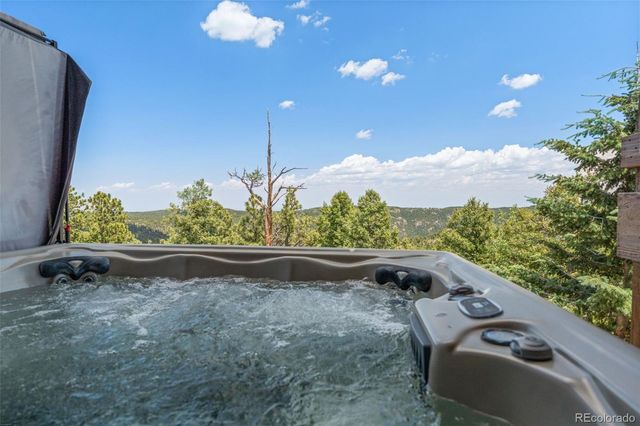 13432 Riley Peak Road, Conifer, CO 80433