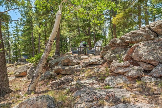 13432 Riley Peak Road, Conifer, CO 80433