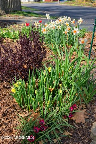 11 Poplar Avenue, Hazlet, NJ 07734