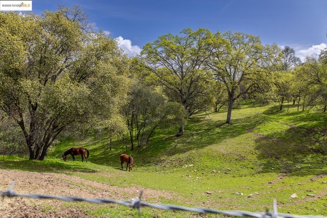 8420 French Flat Road, Jamestown, CA 95327