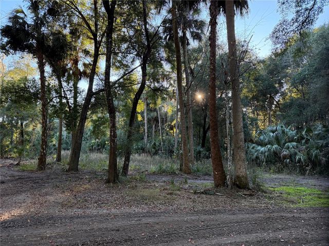 19411 N US HIGHWAY 301, Citra, FL 32113