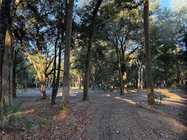 19411 N US HIGHWAY 301, Citra, FL 32113