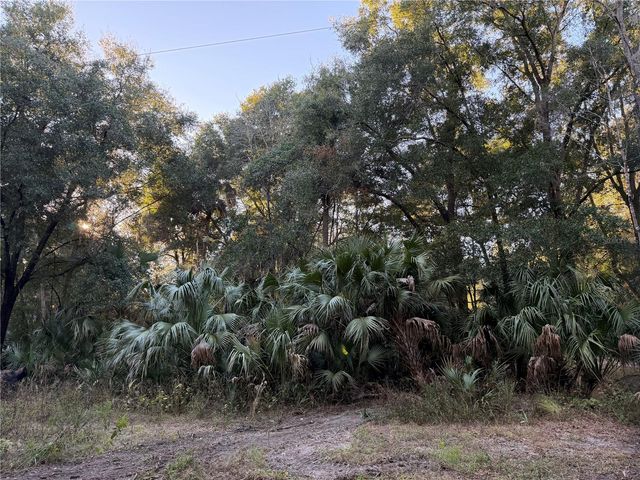 19411 N US HIGHWAY 301, Citra, FL 32113