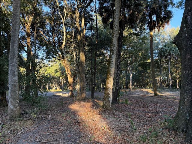 19411 N US HIGHWAY 301, Citra, FL 32113