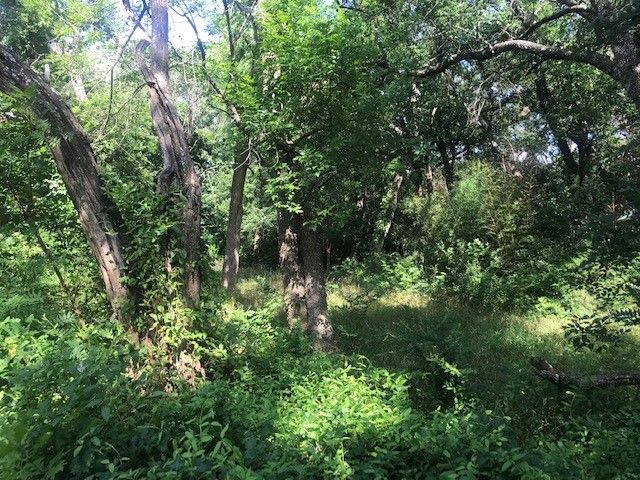 420 Kinney Drive, Murphy, TX 75094