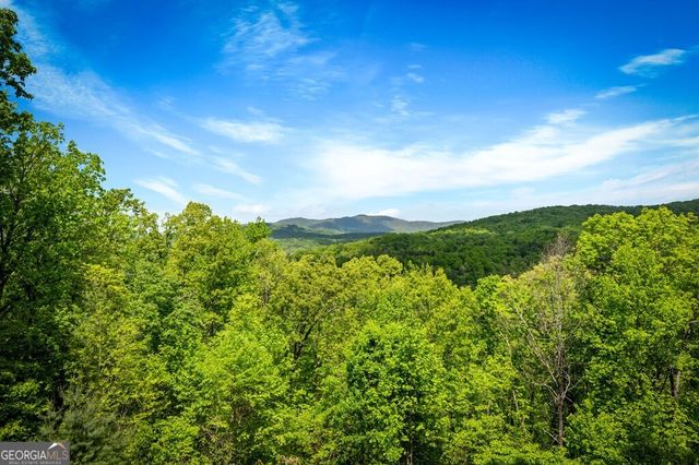 607 Rhonda Lane, Mineral Bluff, GA 30559