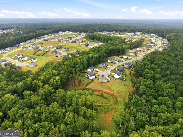 462 Sylvie Drive, Mcdonough, GA 30252