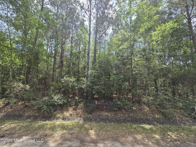 00 9 Street, Bay Saint Louis, MS 39520