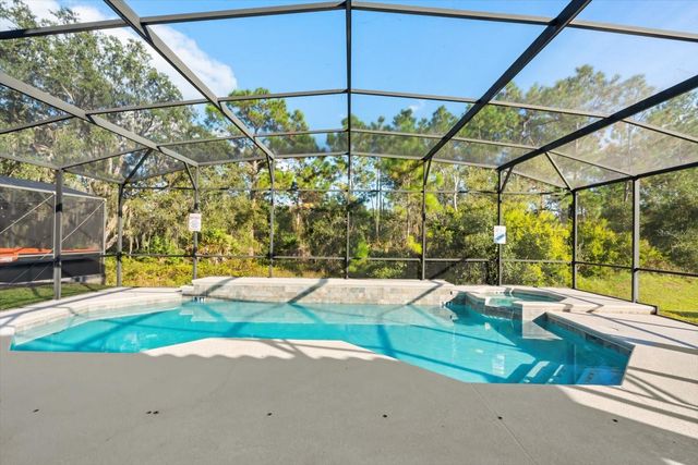 558 ORANGE COSMOS BOULEVARD, Davenport, FL 33837