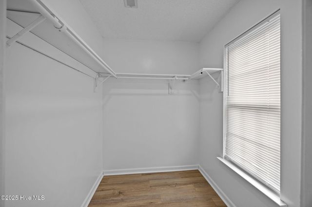 103 Arbor Drive, Greenville, NC 27858