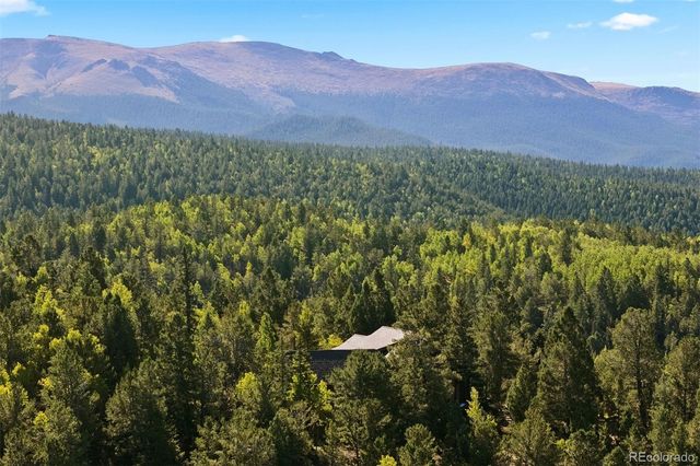 1010 Cantiberry Road, Divide, CO 80814