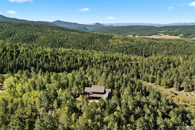 1010 Cantiberry Road, Divide, CO 80814
