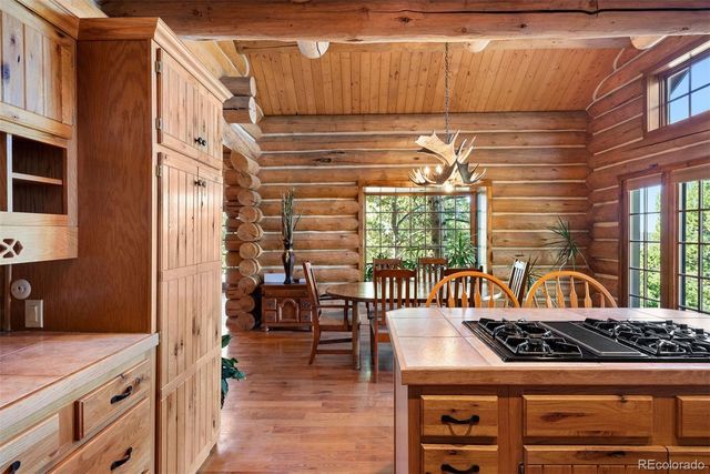 1010 Cantiberry Road, Divide, CO 80814