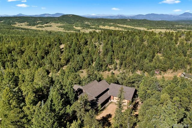1010 Cantiberry Road, Divide, CO 80814
